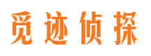 灵丘市调查公司